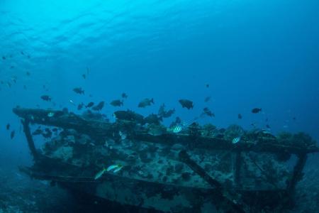Platz 1 - Gili Inseln: Diese kleine Inselgruppe vor der Nordwestküste der indonesischen Insel Lombok gilt als wahres Tauchpa...