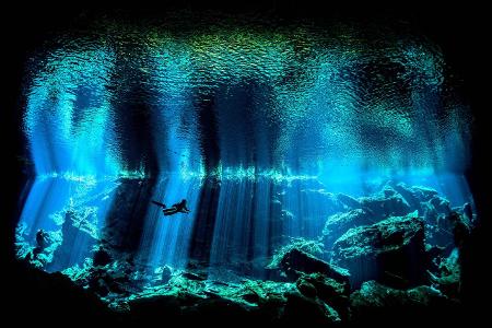 2_British Underwater Photographer of the Year 2017.jpg