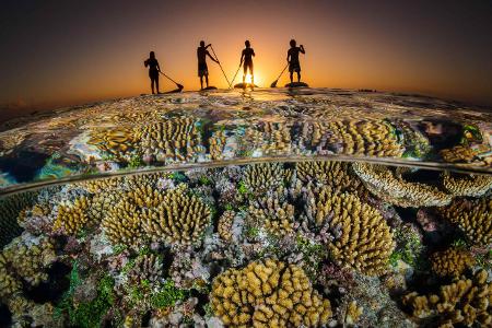 Wide-Angle_Grant_Thomas_Paddle boarders sunset..jpg