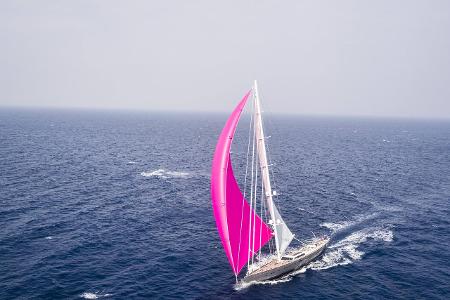PINK GIN - Copyright Ralf Halbhuber.jpg