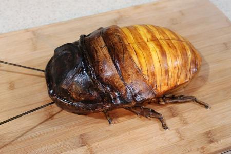 2.4 Madagascar Hissing Cockroach Cake with Boston Creme Filling.jpg