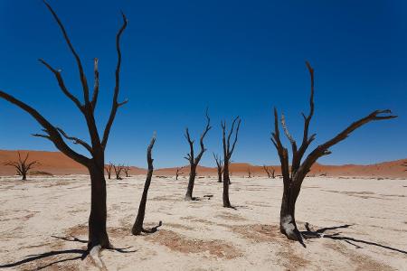 ThinkstockPhotos-477381208.jpg