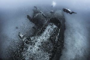 Schätze aus der Tiefe: Die 20 besten Unterwasserfotos