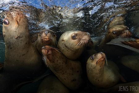 Third Prize - Wide Angle -® Jens Troeger - Scuba Diving Magazine Photo Contest 2017.jpg