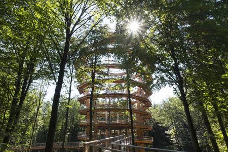 Schönste Baumwipfelpfade: Steigerwald Schönste Baumwipfelpfade: Steigerwald