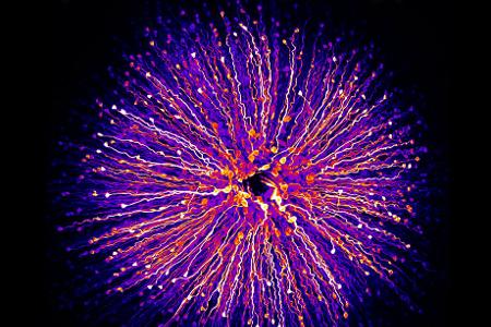 k-#6 - FOVEA_hanen-khabou-RGB.jpg