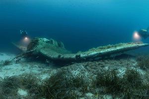 Abgetaucht: Die besten Unterwasserfotos