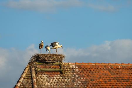 Altmark