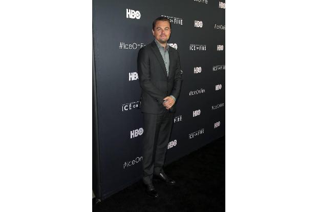 Die Leonardo DiCaprio Foundation wurde vom Schauspieler aus der Taufe gehoben, um Firmen beim Aufbau einer nachhaltigen Zuku...