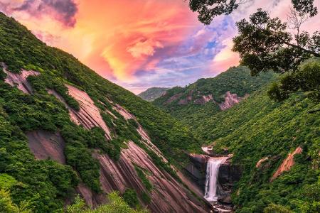 Den Anfang macht Yakushima mit dem wunderschönen Senpiro-Wasserfall. Rund 42 Prozent der Insel sind als Nationalpark ausgewi... Den Anfang macht Yakushima mit dem wunderschönen Senpiro-Wasserfall. Rund 42 Prozent der Insel sind als Nationalpark ausgewi...