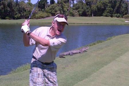 Wenn dir beim Golfen ein Alligator entgegenkommt... Genau das ist Schauspieler Michael Douglas passiert. Statt panisch davon...