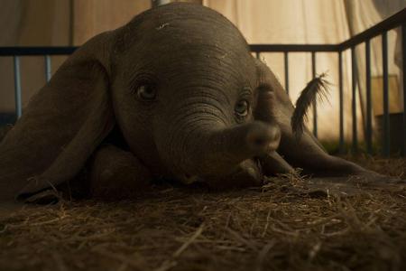 Wie niedlich! Der kleine Elefant ist diesmal mittels modernster Computeranimation zum Leben erweckt worden.