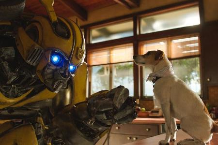 Hund trifft Transformer