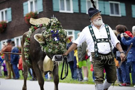 Feierlicher Höhepunkt beim Viehscheid in Oberstaufen: Der Auftritt des Kranzrinds