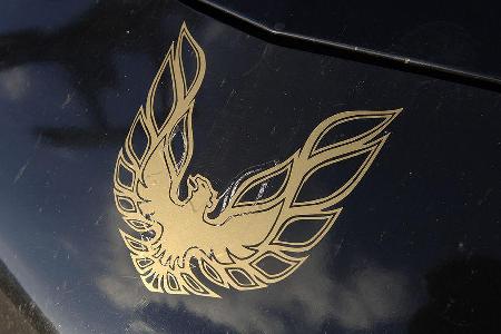 Pontiac Firebird V6