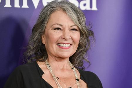 Die Schauspielerin Roseanne Barr (62) spielte nicht nur die Hauptrolle, sondern lieferte auch die Geschichten rund um die Fa...