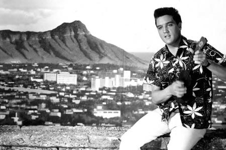 Hawaiihemd und Ukulele: So wie in 