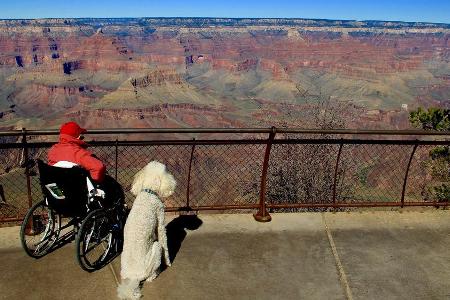 Miss Norma und der Grand Canyon