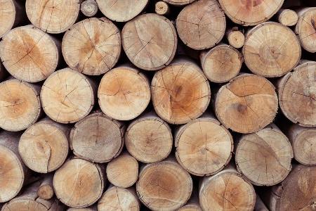 Tencel oder auch Lyocell wird aus den Fasern von Holz hergestellt