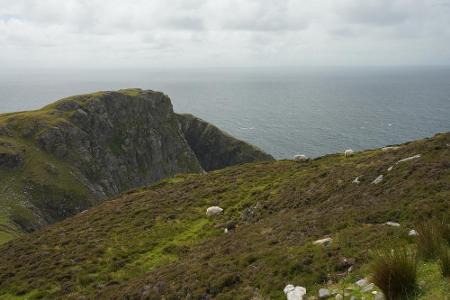 Die typische irische Küstenlandschaft gibt es auch im Killarney-Nationalpark zu sehen: Grüne Wiesen, schroffe Felsen und ein...