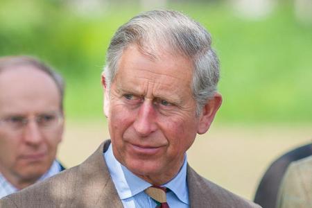 Prinz Charles fühlt sich angeblich von Harry und Meghan Prinz Charles fühlt sich angeblich von Harry und Meghan