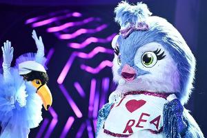 "The Masked Singer": Dieser Promi steckte im Küken-Kostüm