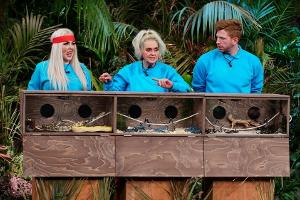 "Dschungelshow": Eine blutige Nase und viel Liebe für Dr. Bob