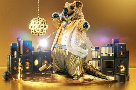 Das Quokka zeigt sich als goldiger DJ-Nager.