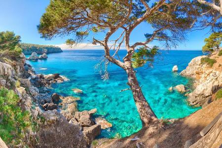 Ist ein Urlaub auf Mallorca bald nur noch mit Corona-Impfung möglich? Ist ein Urlaub auf Mallorca bald nur noch mit Corona-Impfung möglich?