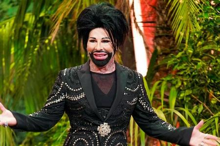 Harald Glööckler kündigte im Dschungelshow-Finale seine Teilnahme für das Dschungelcamp 2022 an. Harald Glööckler kündigte im Dschungelshow-Finale seine Teilnahme für das Dschungelcamp 2022 an.
