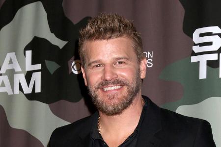 David Boreanaz ist einer von vielen David Boreanaz ist einer von vielen
