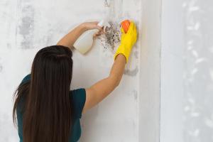 Schimmel in der Wohnung entfernen und vorbeugen