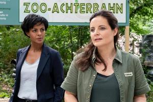 "Tierärztin Dr. Mertens: Hoch hinaus": Zwischen Dr. Mertens (Elisabeth Lanz, r.) und Zoodirektorin Dr. Amal Bekele (Dennenes...