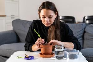 "Indoor-Ernte": Wie das eigene Wohnzimmer zum Garten wird