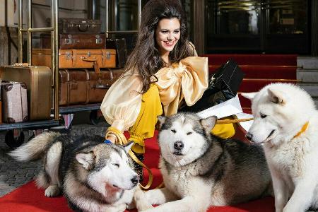 Traum-Shooting mit Hund und Haar Traum-Shooting mit Hund und Haar