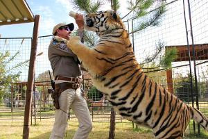 Begnadigung für Joe Exotic? Das sagt ein US-Anwalt dazu