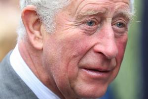 Prinz Charles hat seine Covid-19-Erkrankung überstanden.