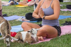 Von Ziegen-Yoga bis Trailrunning: Im Urlaub was Neues wagen