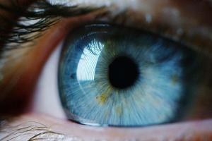 Gesunde Augen: Viele Menschen gehen zu selten zum Arzt