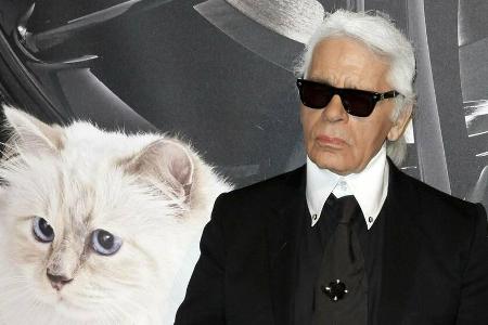 Karl Lagerfelds Katze Choupette wird zum Werbegesicht. Karl Lagerfelds Katze Choupette wird zum Werbegesicht.