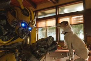 Wird es weitere "Transformers"-Filme geben?