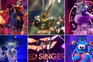Das sind die heißesten Tipps vor dem "The Masked Singer"-Finale
