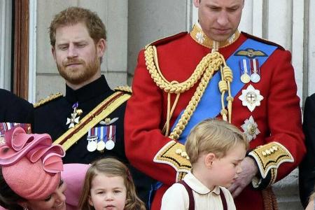 Prinz Harry (l.) mit seinem Bruder Prinz William, dessen Ehefrau Herzogin Kate und den Kindern Prinzessin Charlotte und Prin... Prinz Harry (l.) mit seinem Bruder Prinz William, dessen Ehefrau Herzogin Kate und den Kindern Prinzessin Charlotte und Prin...