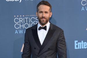 Ryan Reynolds: Vermisster Teddy ist wieder aufgetaucht