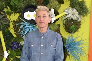 Diebe brechen bei US-Talkmasterin Ellen DeGeneres ein