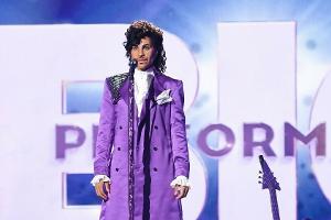 "Prince" überzeugte im ersten Durchgang, setzte sich am Ende aber nicht durch.