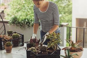 Balkon herbst- und winterfest machen: Wohin mit Möbeln und Pflanzen?