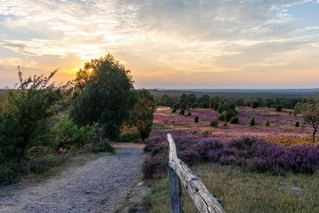 Die Lüneburger Heide ist ein großartiges Reiseziel für Naturliebhaber. Die Lüneburger Heide ist ein großartiges Reiseziel für Naturliebhaber.