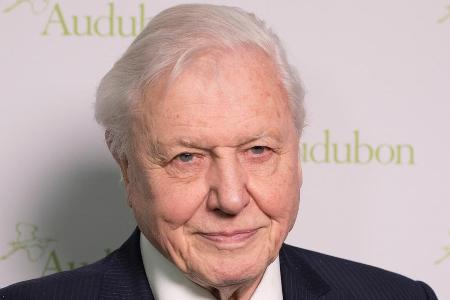 Sir David Attenborough meldet sich bei Instagram an - und bricht sogleich einen Rekord. Sir David Attenborough meldet sich bei Instagram an - und bricht sogleich einen Rekord.