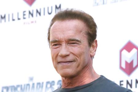 Arnold Schwarzenegger feiert mit seinem Esel Lulu Geburtstag. Arnold Schwarzenegger feiert mit seinem Esel Lulu Geburtstag.